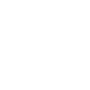 Risk Icon | GreyMatters